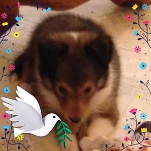 Meet your Posher, Leslie